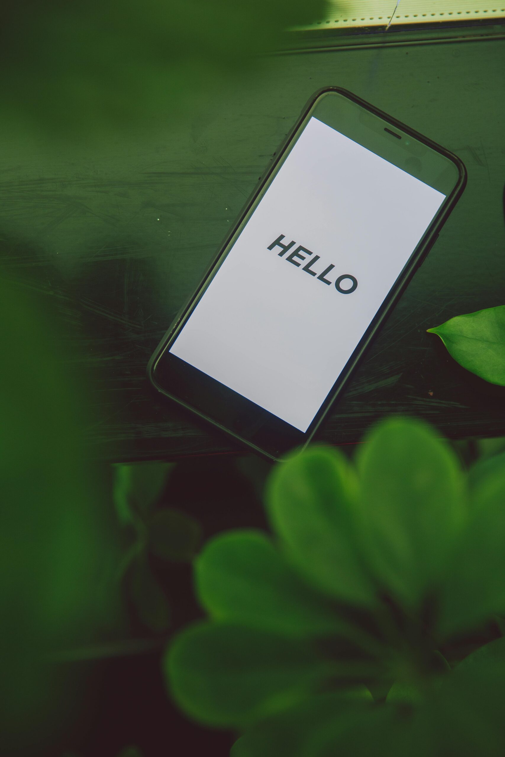 Hello world!