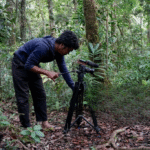 Nature Films in 2025 Spotlight India’s Conservation Efforts with Stunning Cinematography