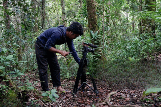 Nature Films in 2025 Spotlight India’s Conservation Efforts with Stunning Cinematography