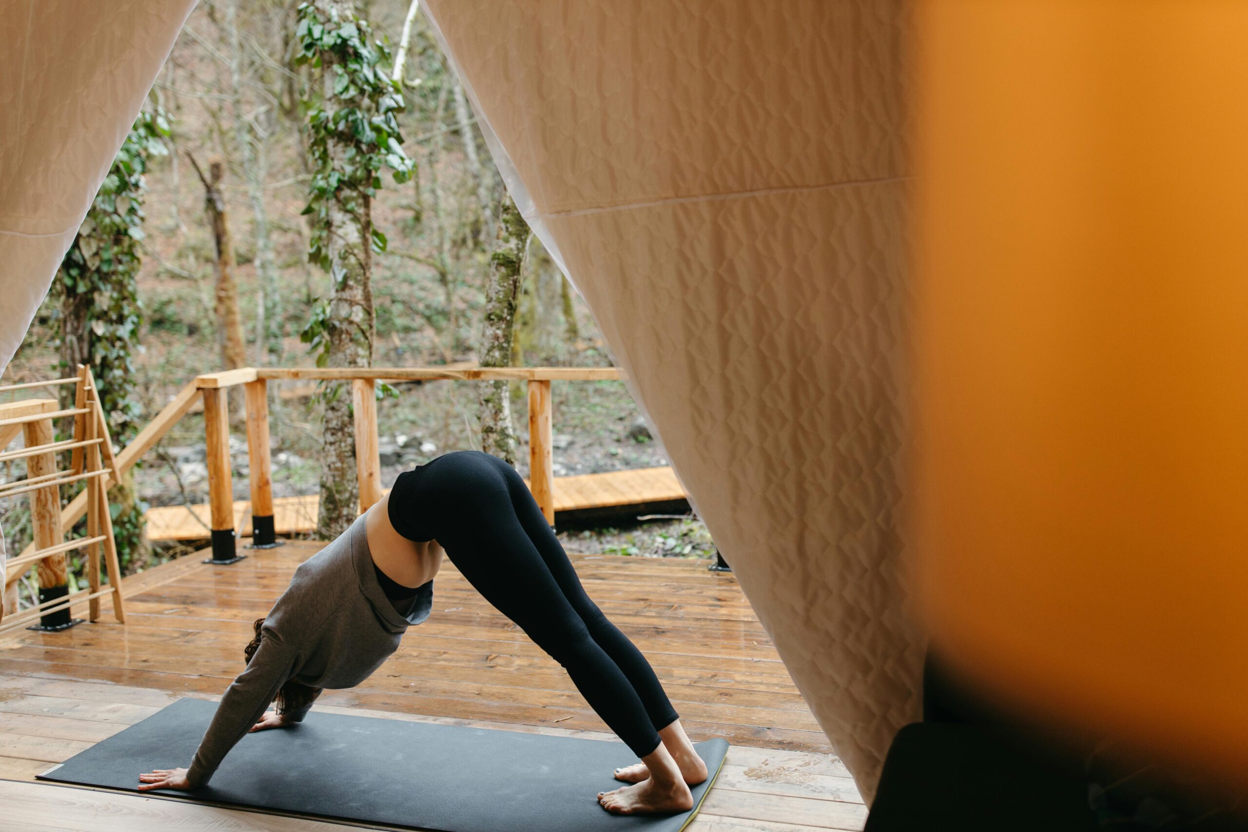 Fitness Meets Entertainment: Celebrity-Led Wellness Retreats Become the New Craze