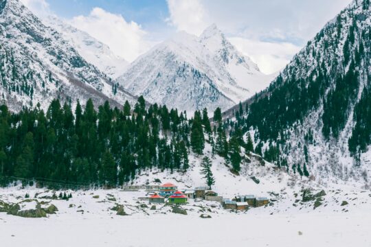 Snowfall Tourism Peaks in Shimla
