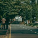 Raipur Redefines Urban Living with Green Infrastructure Projects