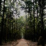 Uttarakhand launch AI-powered program