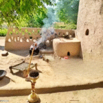 UNESCO Recognizes Bishnoi Eco-Conservation Practices as Intangible Cultural Heritage