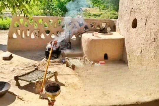 UNESCO Recognizes Bishnoi Eco-Conservation Practices as Intangible Cultural Heritage