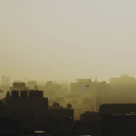 New Delhi's Air Quality Sees Remarkable Improvement with Green Initiatives