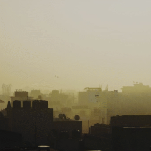 New Delhi's Air Quality Sees Remarkable Improvement with Green Initiatives