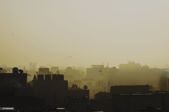 New Delhi's Air Quality Sees Remarkable Improvement with Green Initiatives