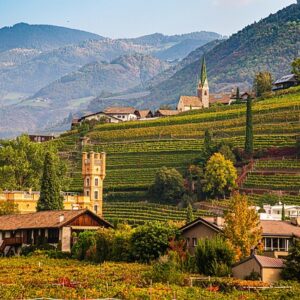 Nashik's Vineyard Tourism Thrives with Innovative Visitor Experiences
