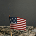 Democracy as a Commodity How Capitalist Forces Shape Political Systems