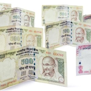 Resilience Through Capitalism How India Overcomes Economic Challenges