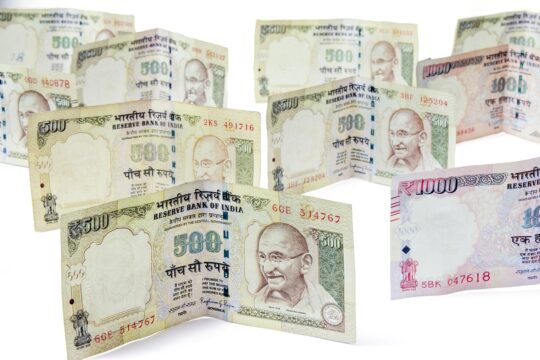 Resilience Through Capitalism How India Overcomes Economic Challenges
