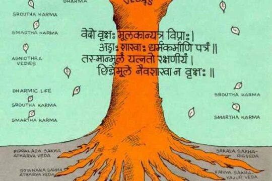 Roots of the Vedas A Journey Through Time