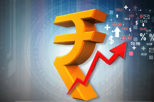 What Can the World Learn from India’s Capitalist Successes