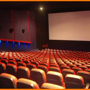 Can Indian Multiplex Chains Survive the OTT Boom