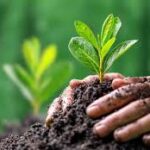 Philosophical Differences in Approaches to Environmental Conservation in Uttar Pradesh