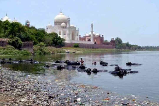 Agra's Pollution Crisis Are We Ignoring a Silent Killer