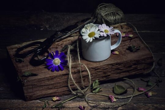 The Role of AI in Crafting Bollywood’s Future Opportunities and Challenges