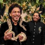 Did Two Snakes Invade Shah Rukh Khan's Mannat Here's What You Need to Know