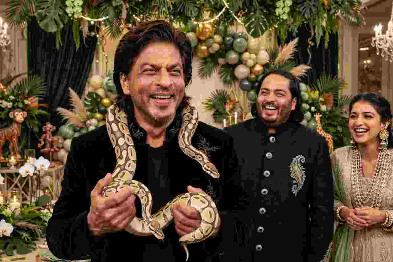 Did Two Snakes Invade Shah Rukh Khan's Mannat Here's What You Need to Know